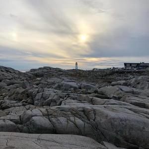 Meet your Posher, Timmy